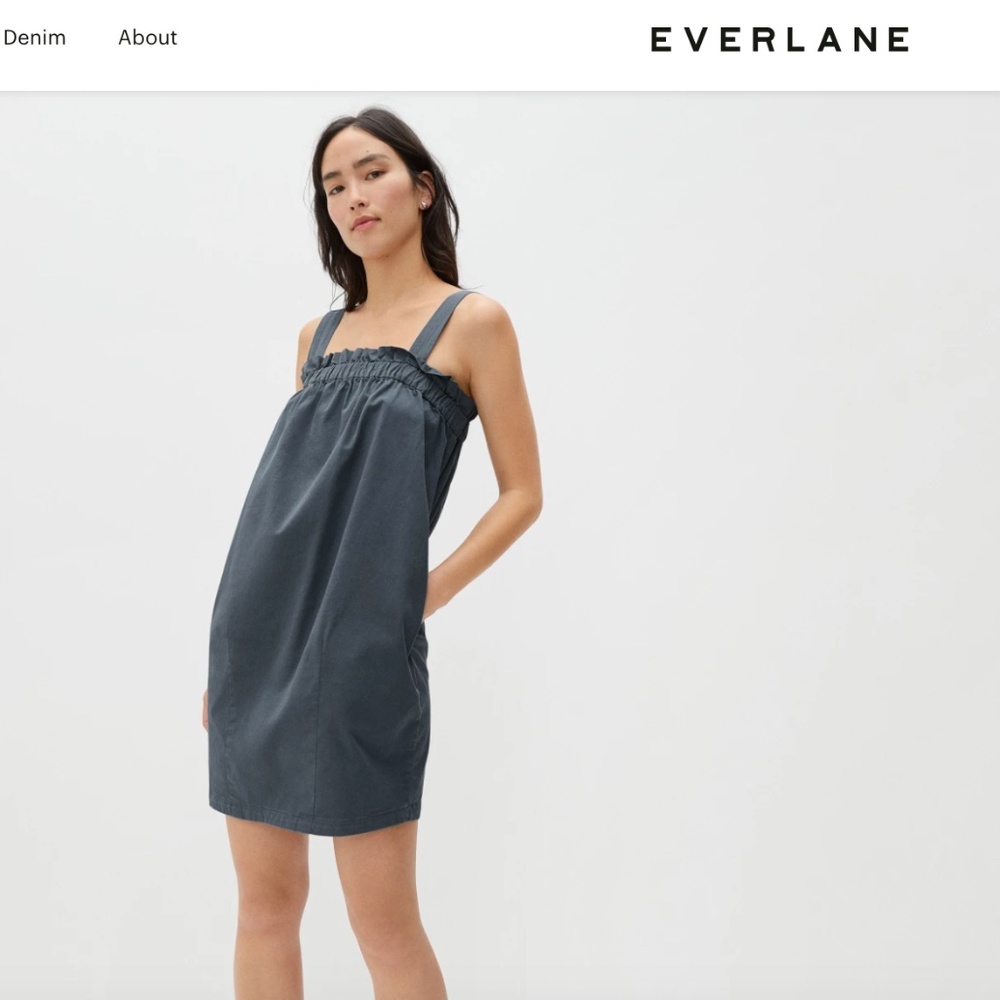 Everlane The Paperbag Dress